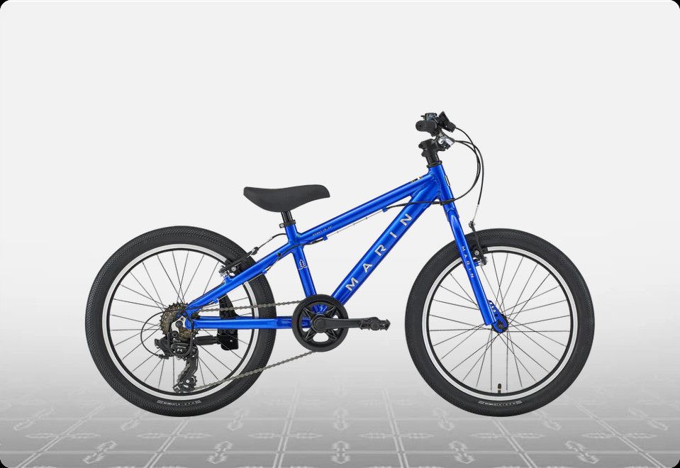 M 20" DONKY JR 6spd BLUE