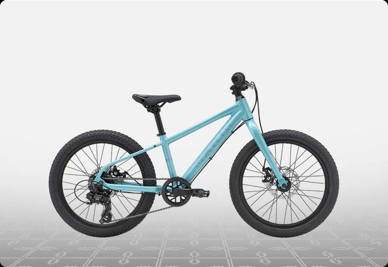 M 20" BAYVIEW TRAIL TEAL/SILV