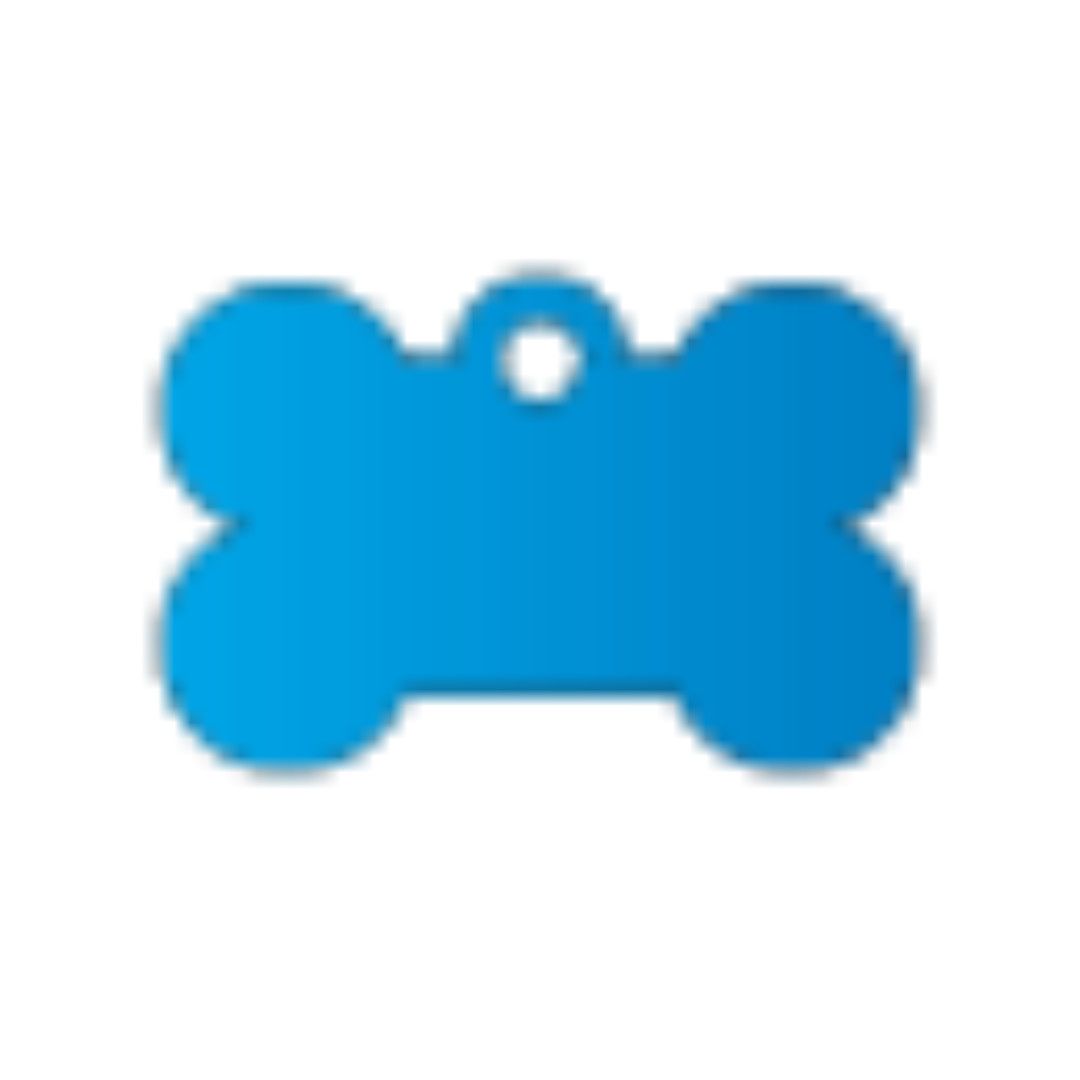 Pet Tags, Size: Small, Color: Blue, Shape: Bone