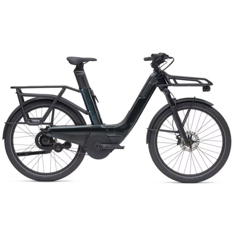 VAAST E/1 Rohloff