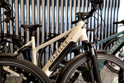 Electric Bikes