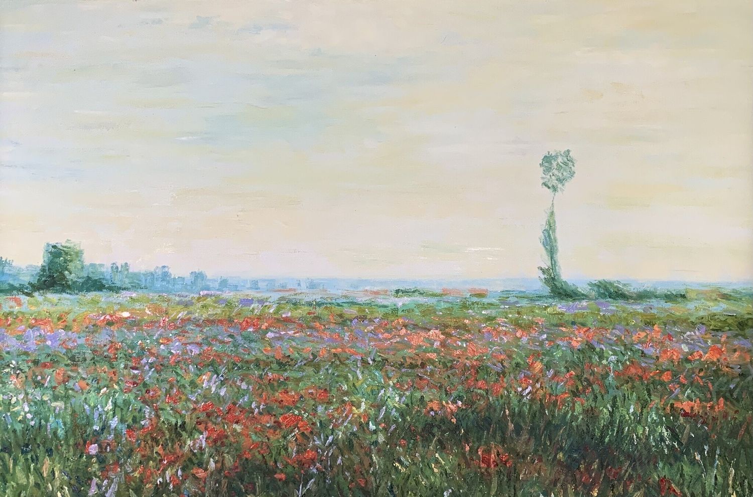 Poppy Field