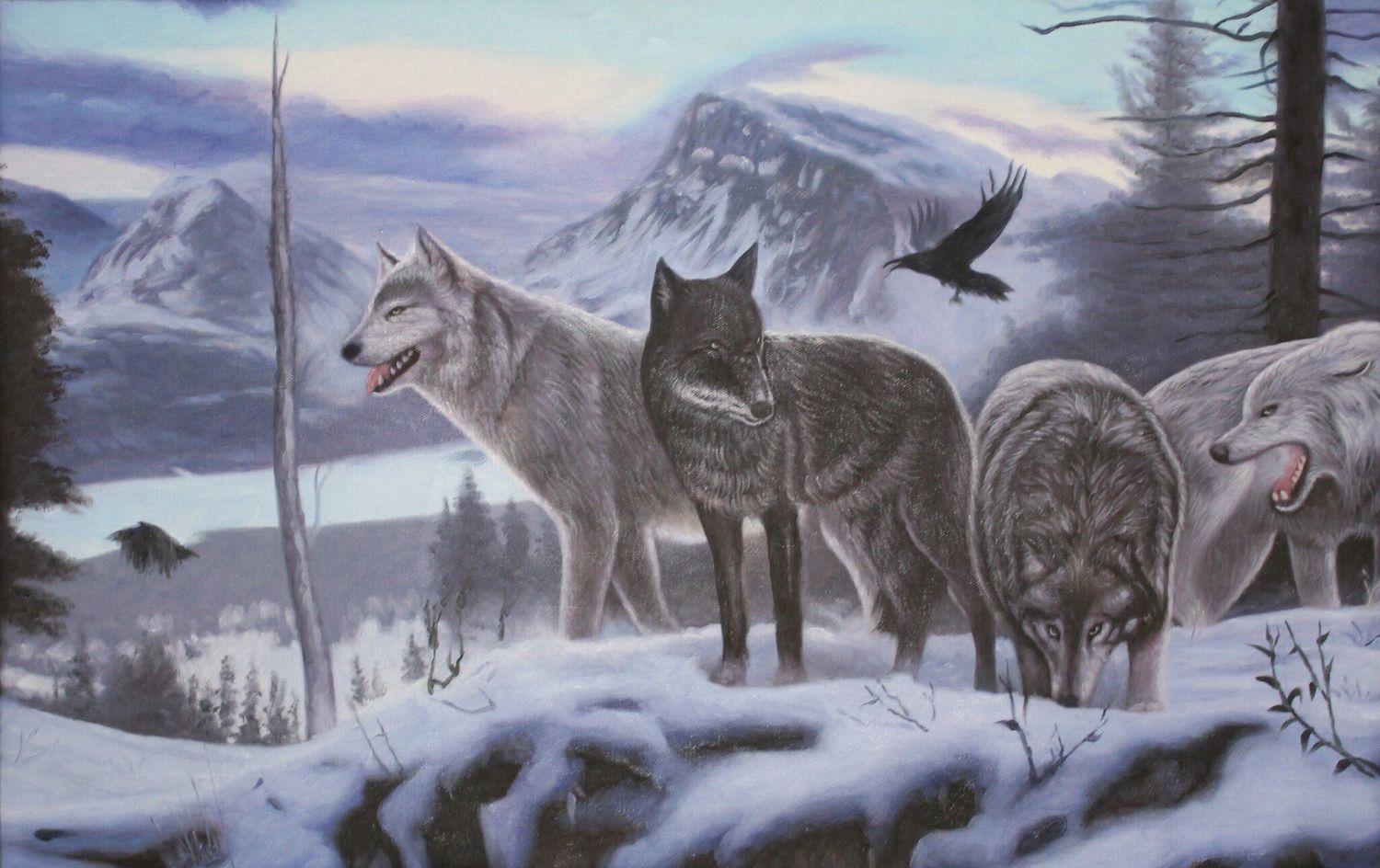 Cellular Coyotes