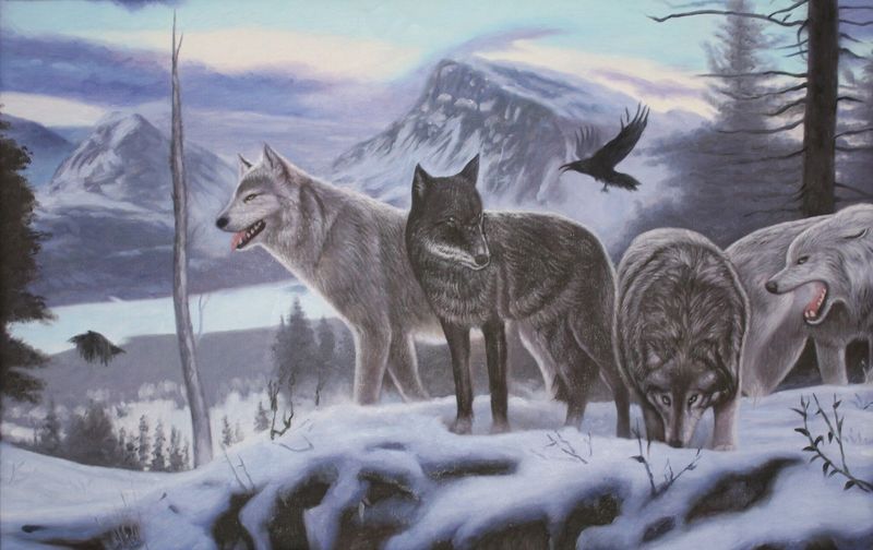 Cellular Coyotes