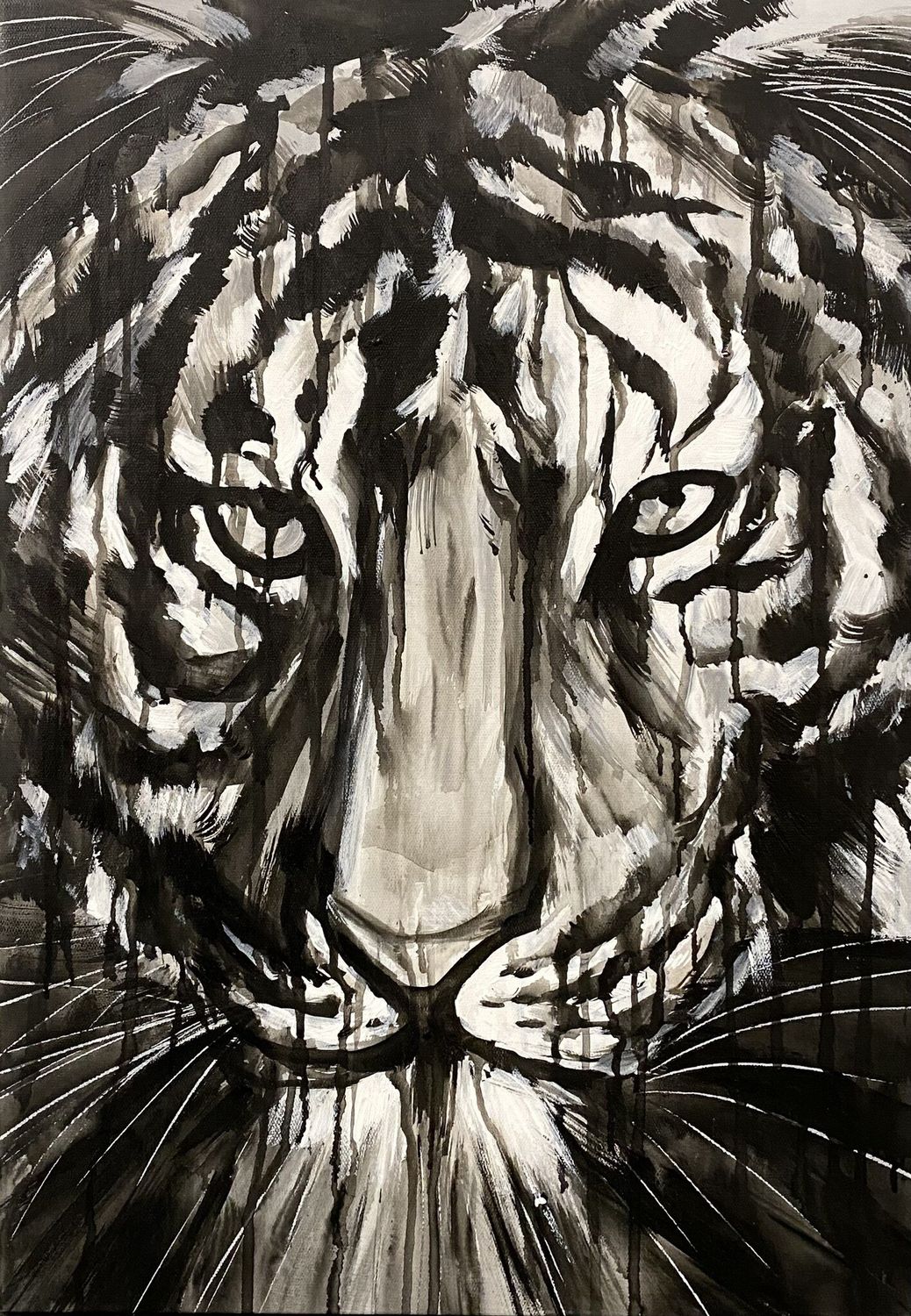 Black and White Tiger