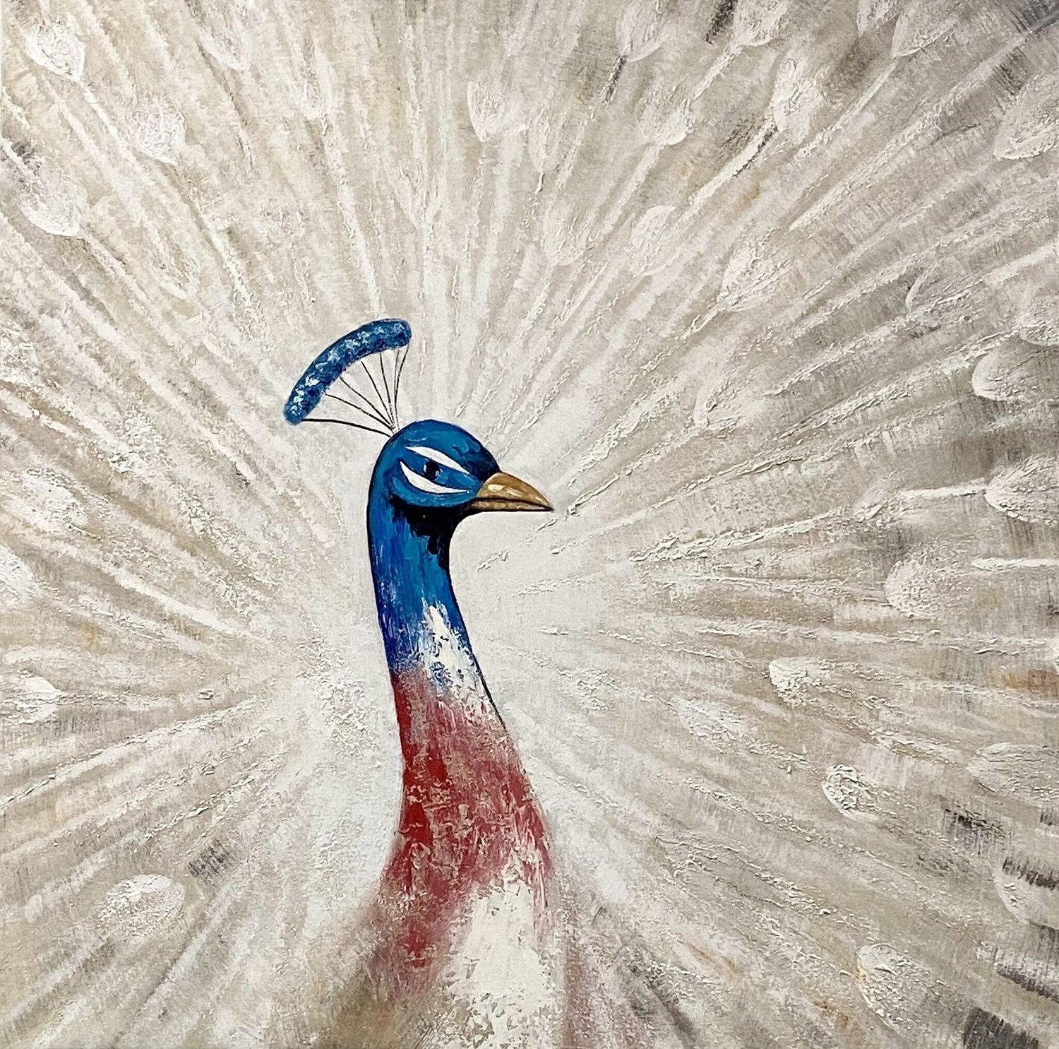 Peacock Spreading White Tails