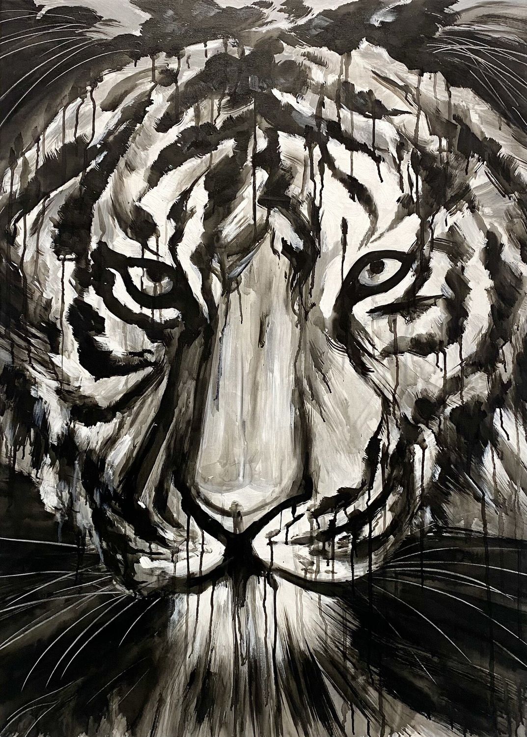 Black and White Tiger