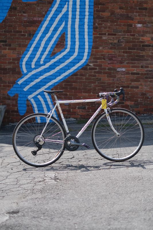 Schwinn Paramount Series 5 PDG Splatter 56