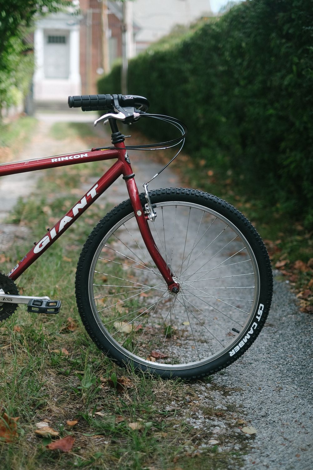 Giant Rincon (Medium / Maroon)