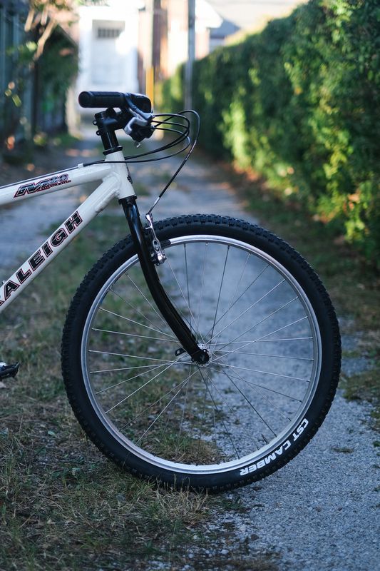 Raleigh M80 (Medium / White)