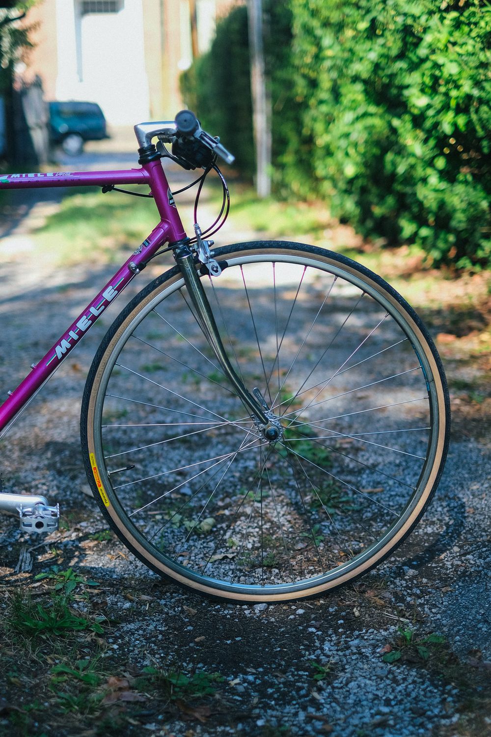 Miele Volta (Purple / Medium)