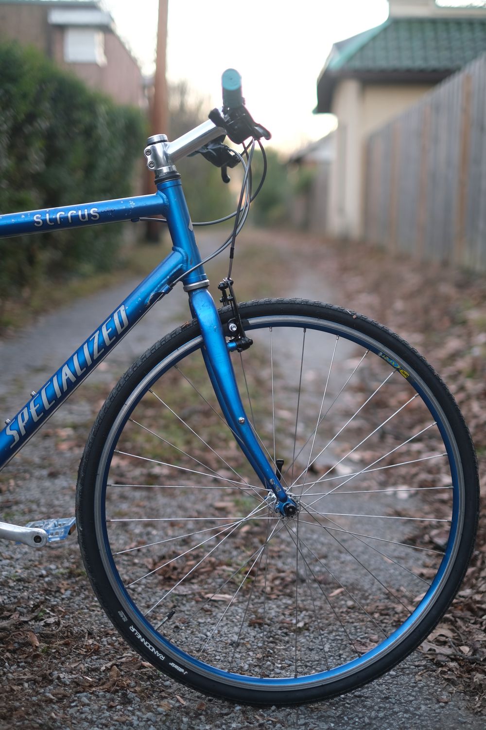 Specialized Sirrus (Blue / Large)