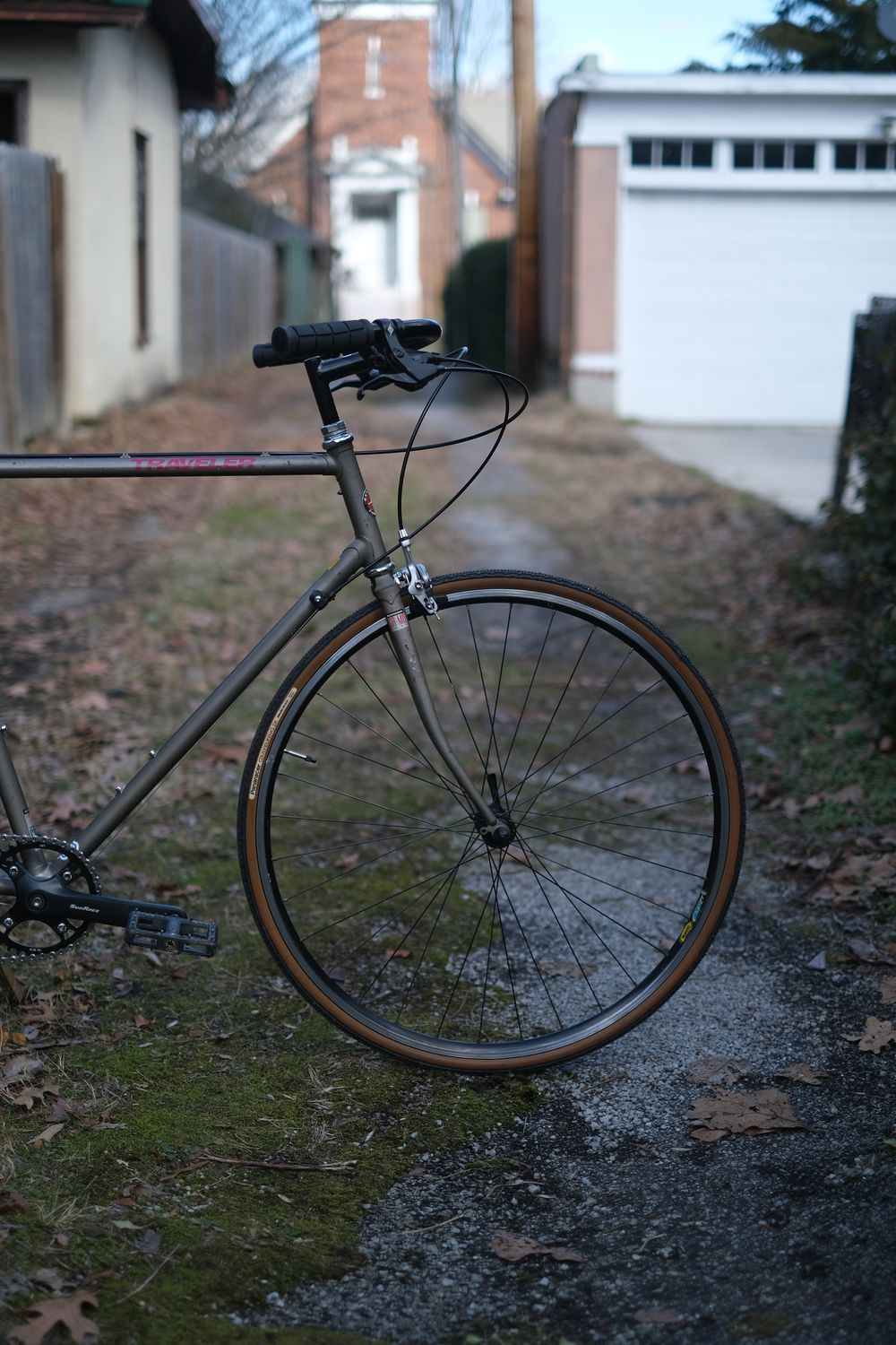 Schwinn Traveler (large/grey)