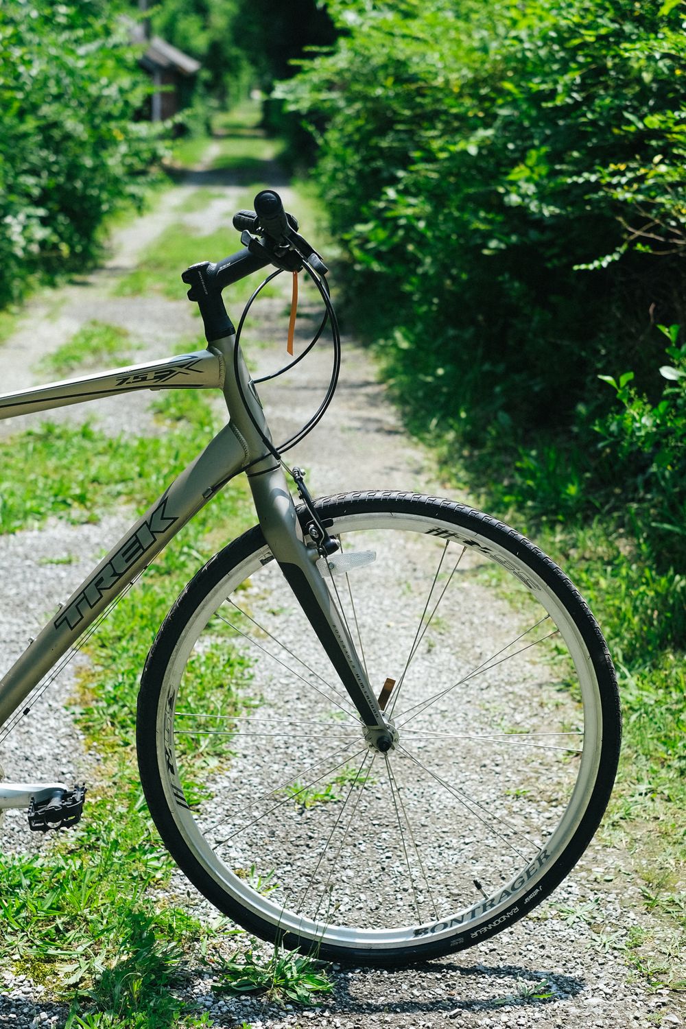 Trek 7.5 FX (large/champagne)