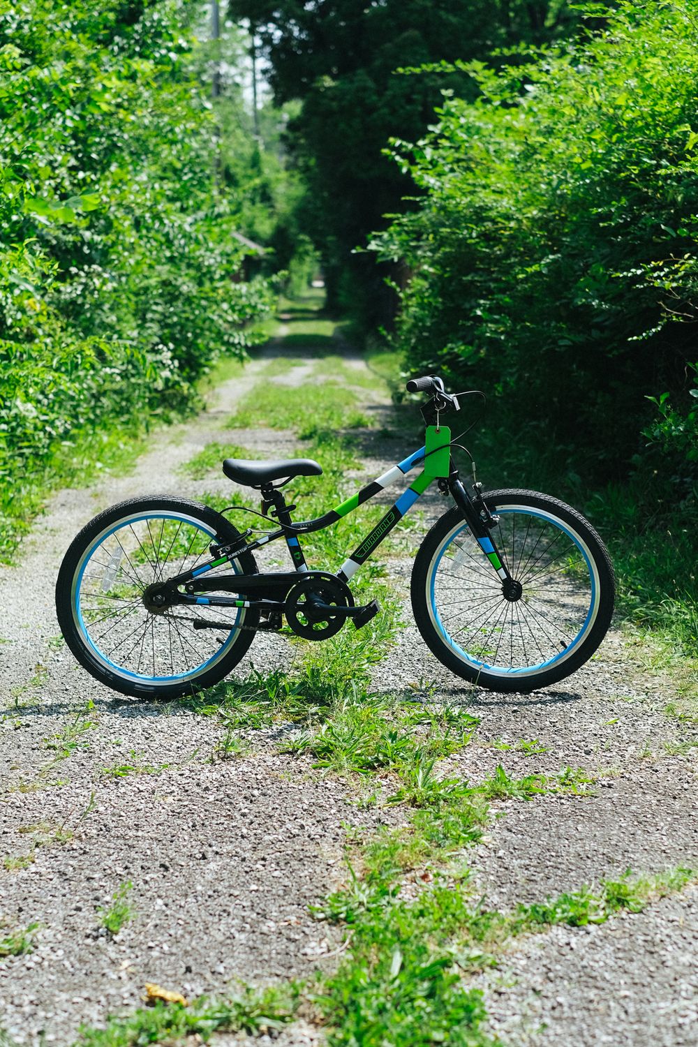 Guardian Ethos 20&quot;