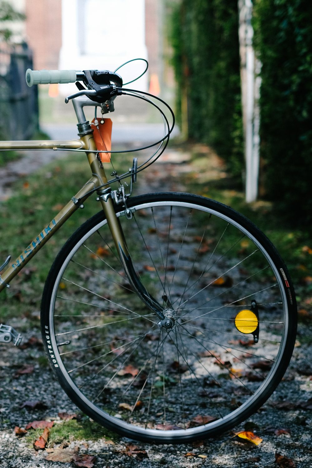 Nishiki International (large/tan)