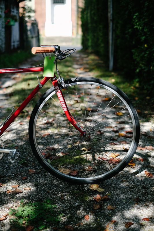 Schwinn Le Tour (small/red)