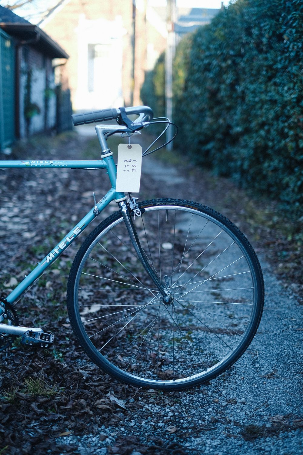 Miele Road Issue (turquoise/medium)