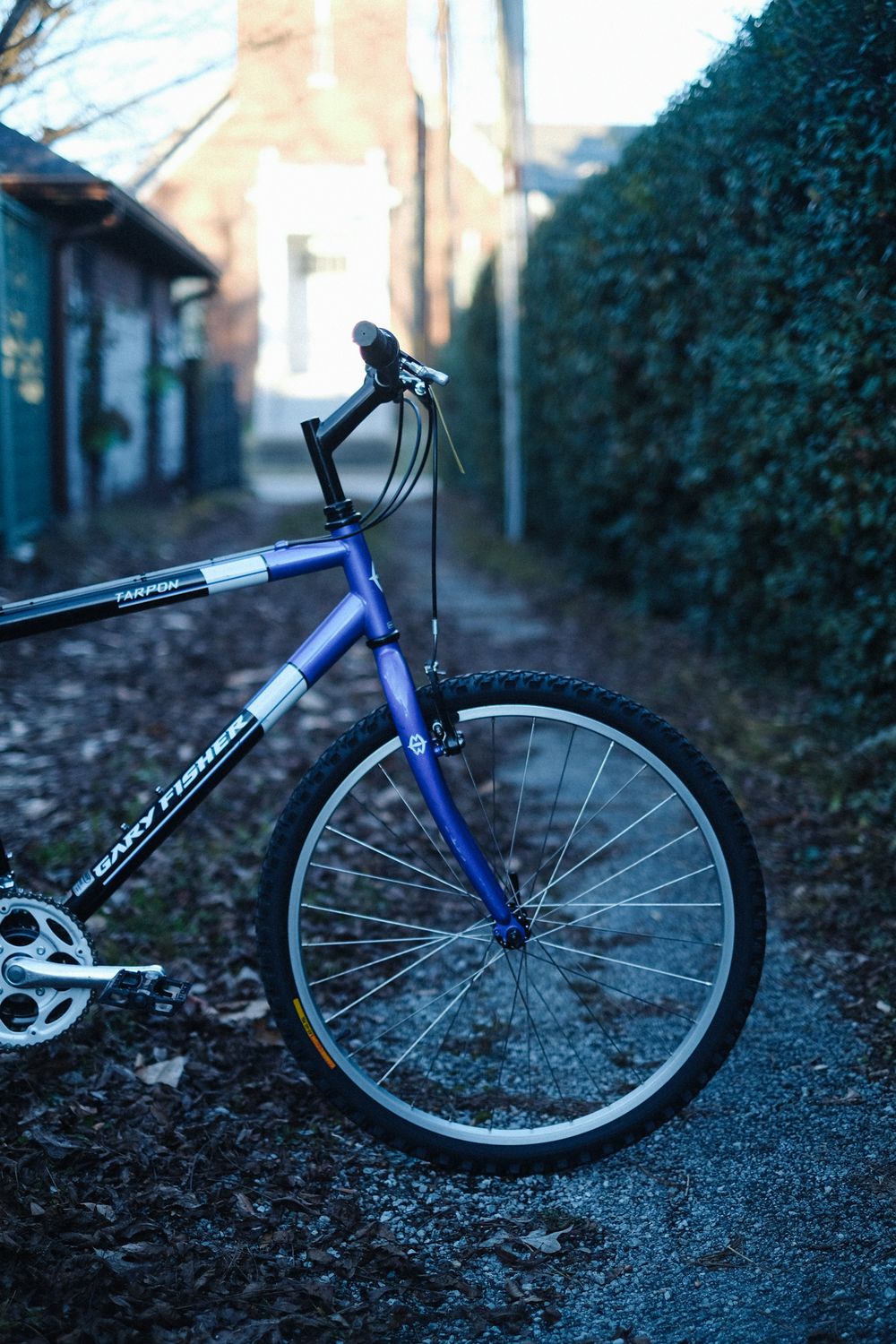 Gary Fisher Tarpon (blue/medium)