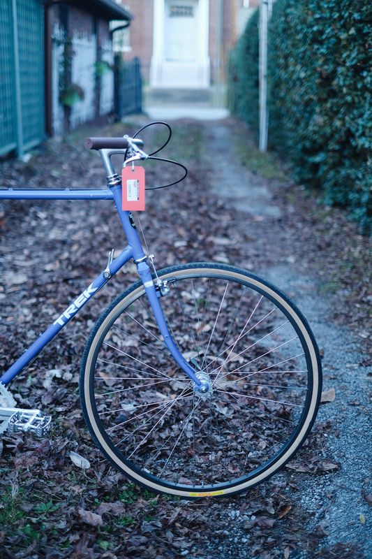 Trek 520 (blue/XL)