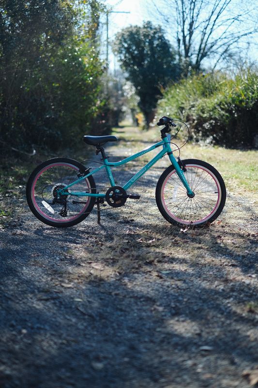 Guardian Ethos (turquoise/20")