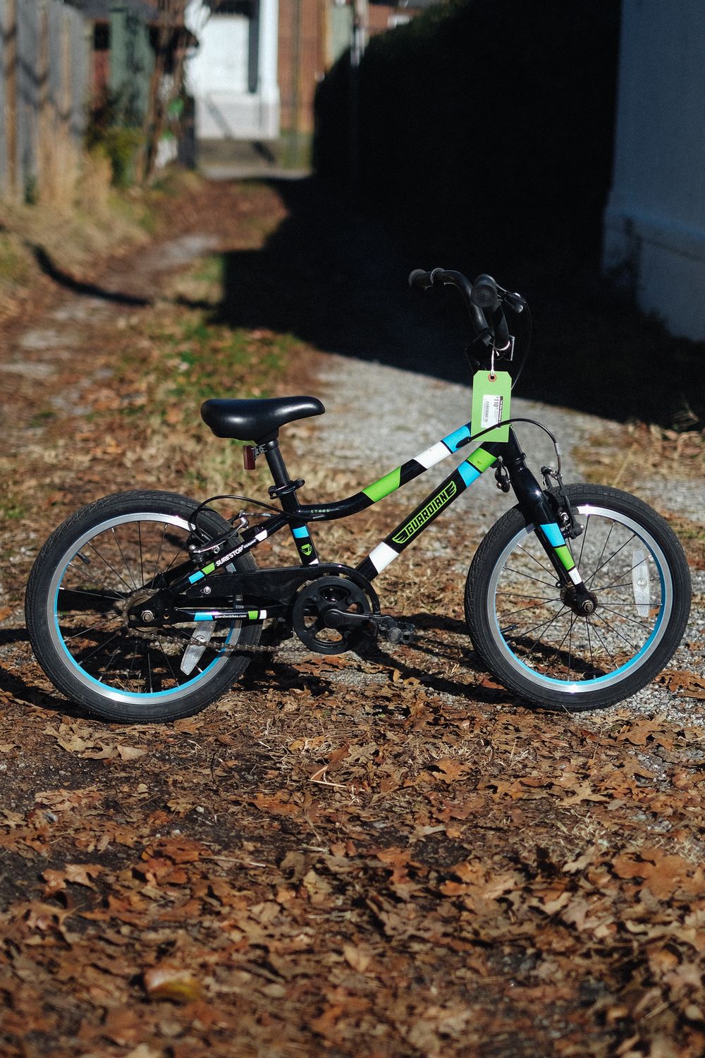 Guardian Ethos (black/16")