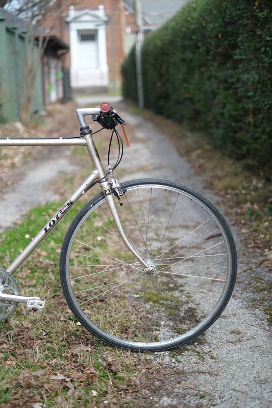 Lotus Challenger SX (champagne/large)