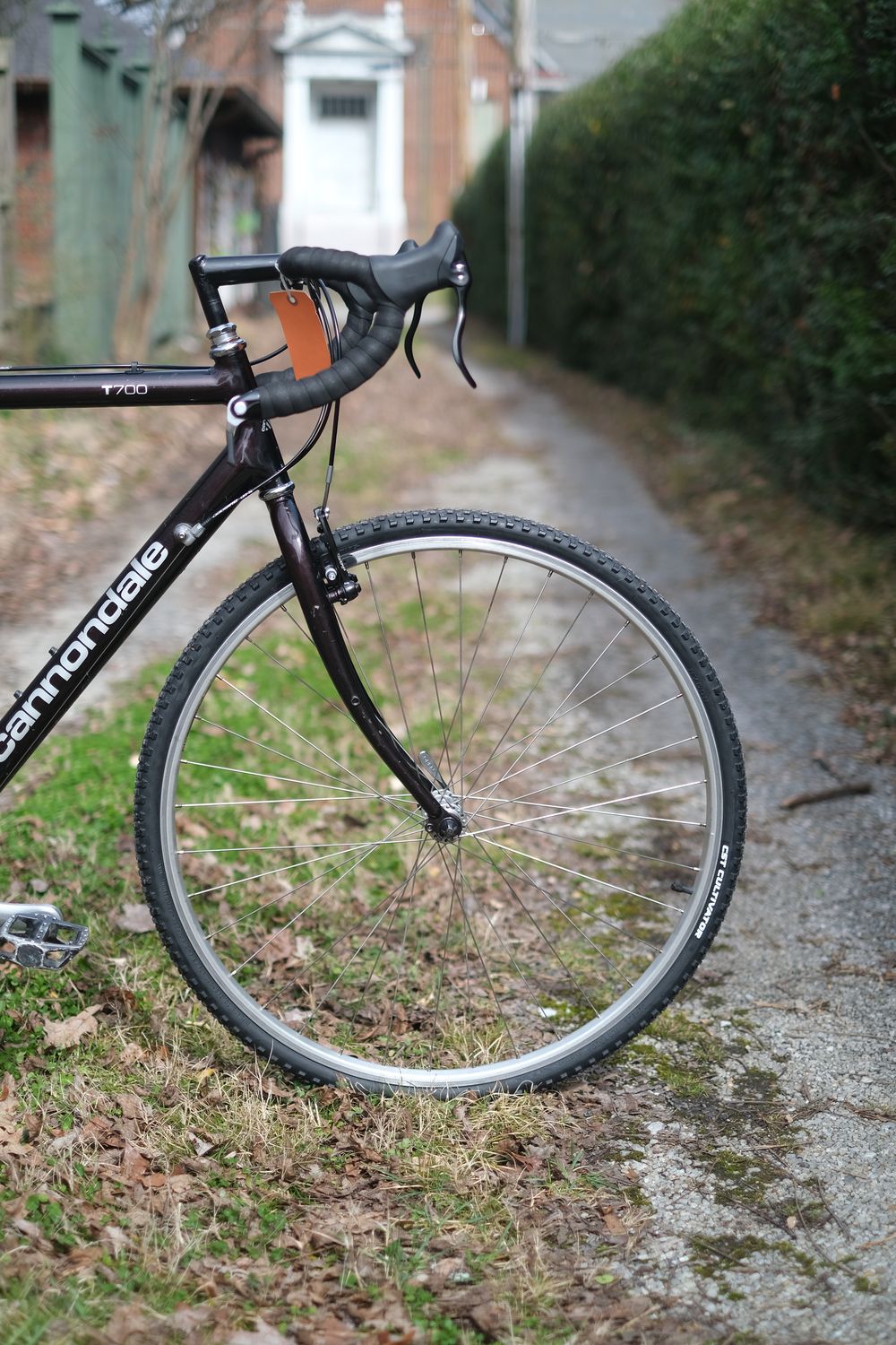 Cannondale T700 (deep purple/large)