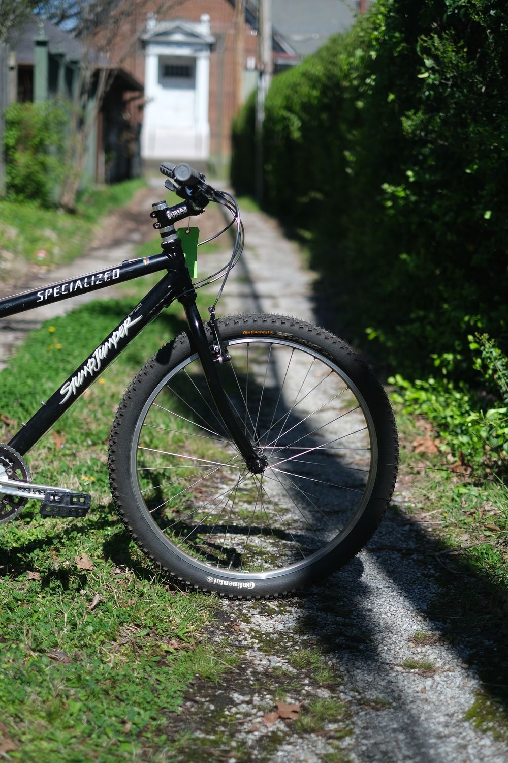 Specialized Stumpjumper (black/small)