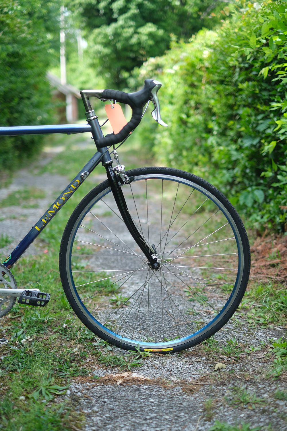 Lemond Zurich (blue/large)