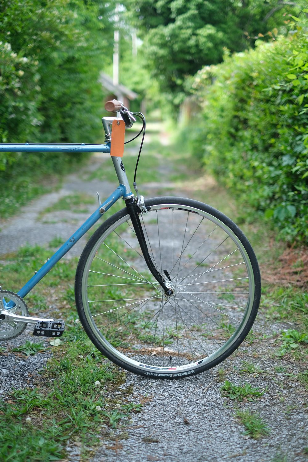 Shogun 600 (Large Blue)