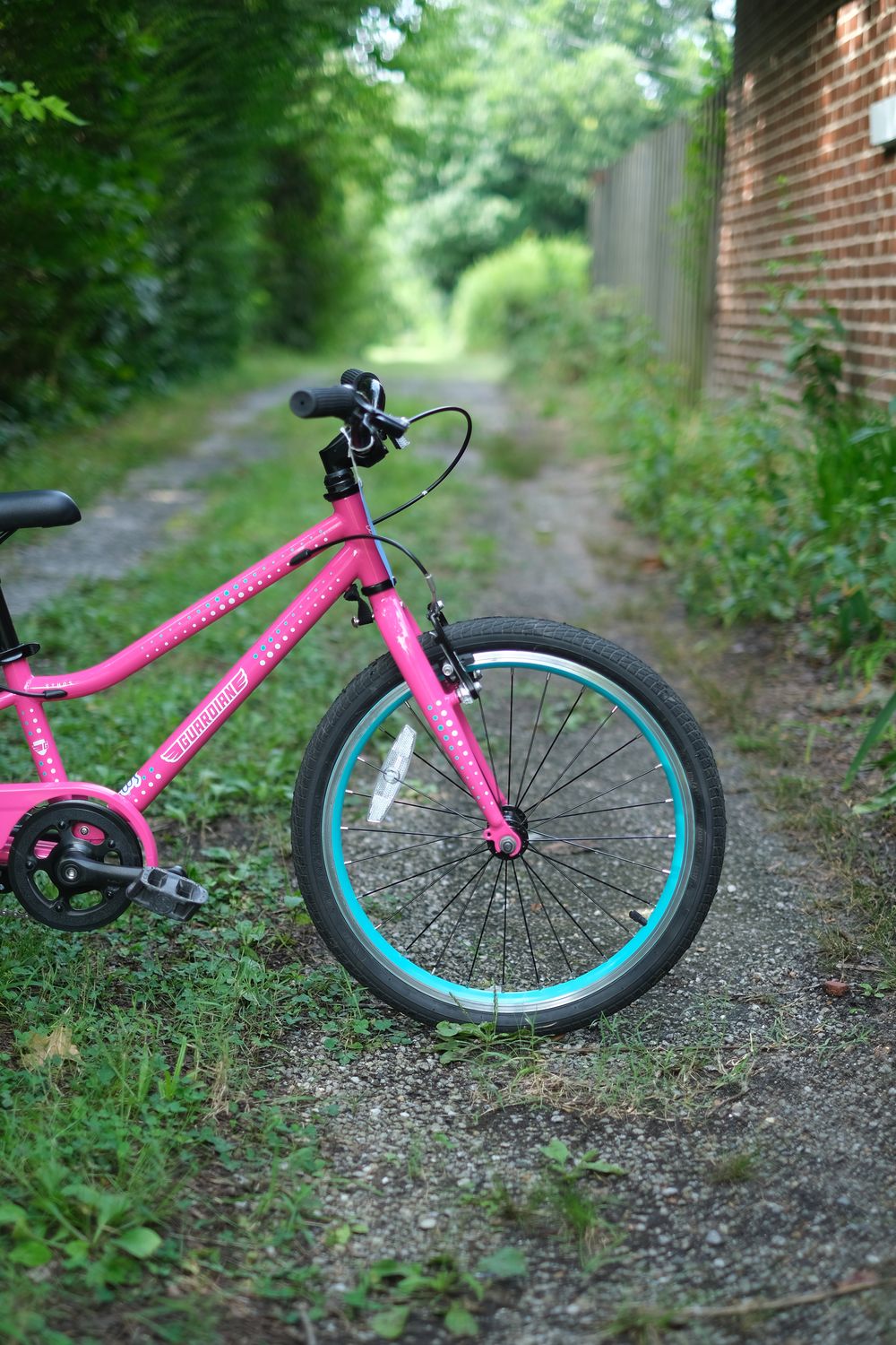 Guardian Ethos (pink/20")
