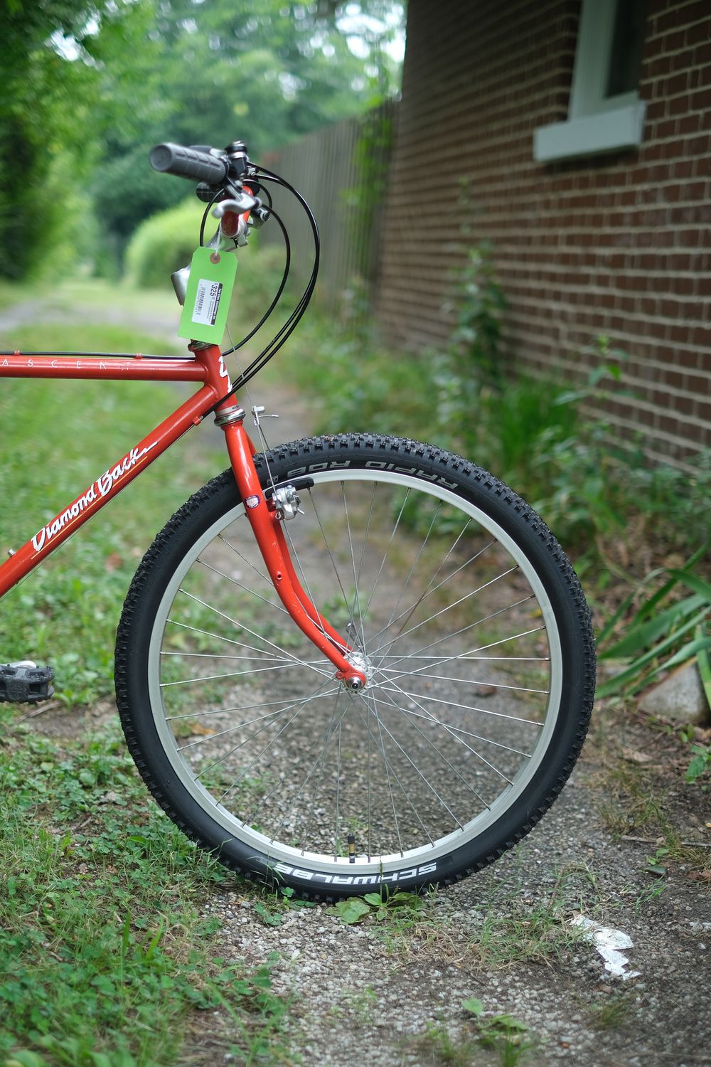 Diamondback Ascent (faded glory/small)