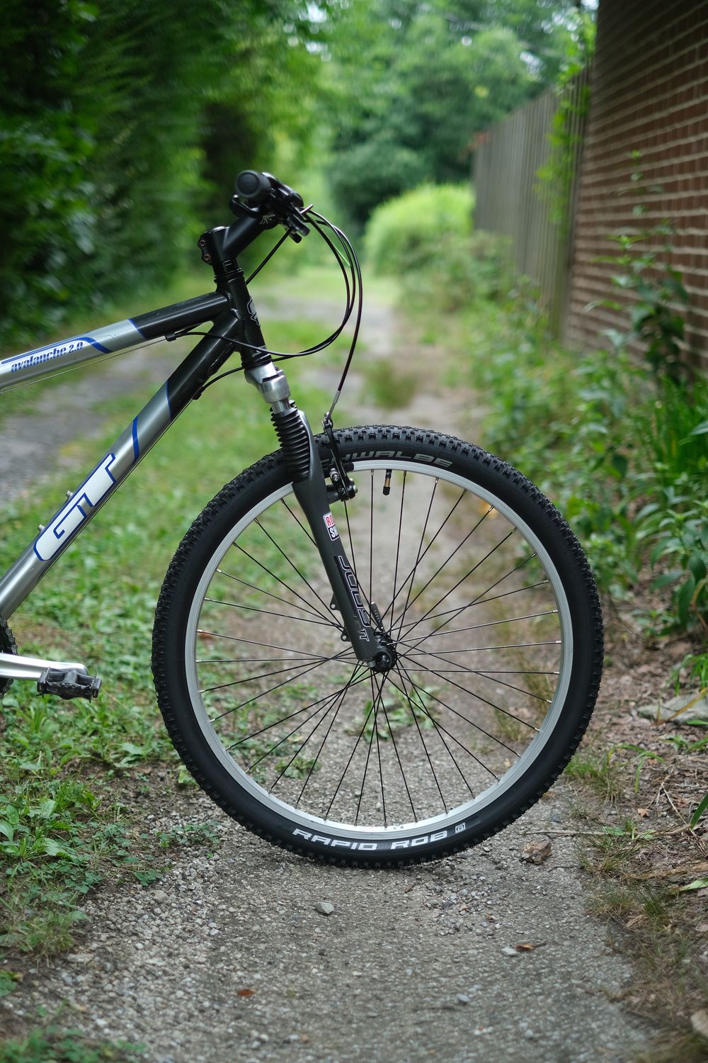 GT Avalanche 2.0 (silver/small)