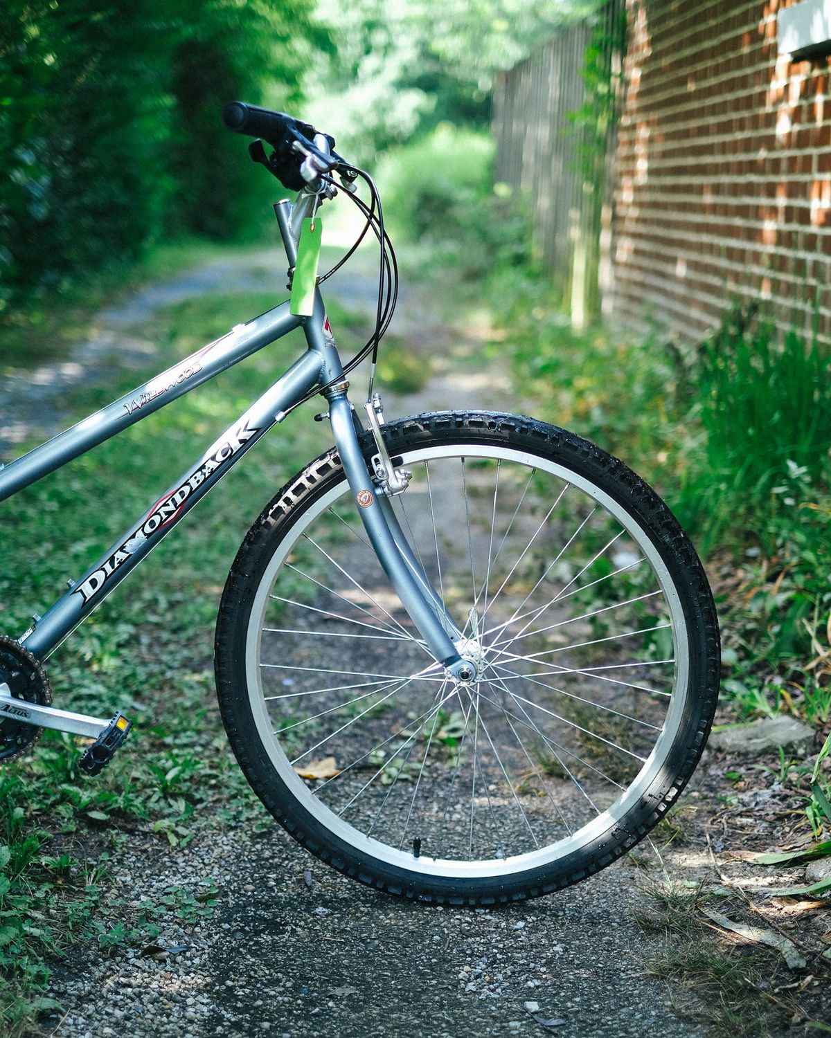 Diamondback Wildwood (Gray/Small)