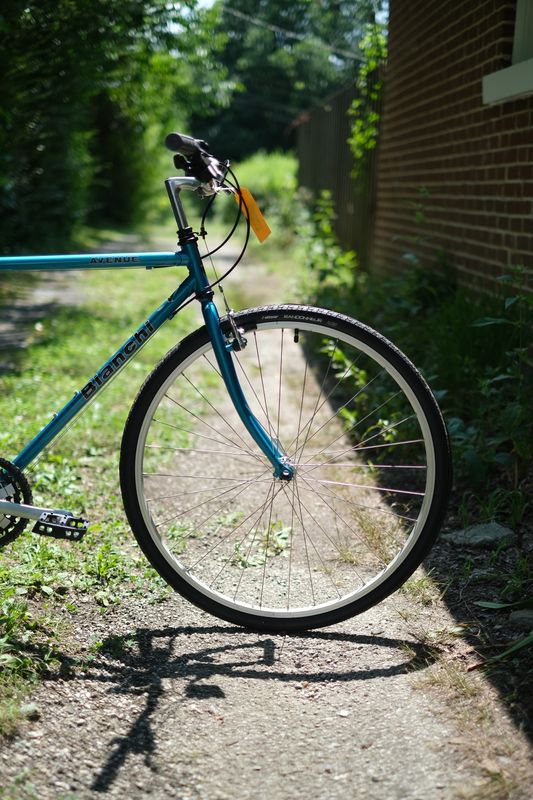 Bianchi Avenue (Teal/Medium)