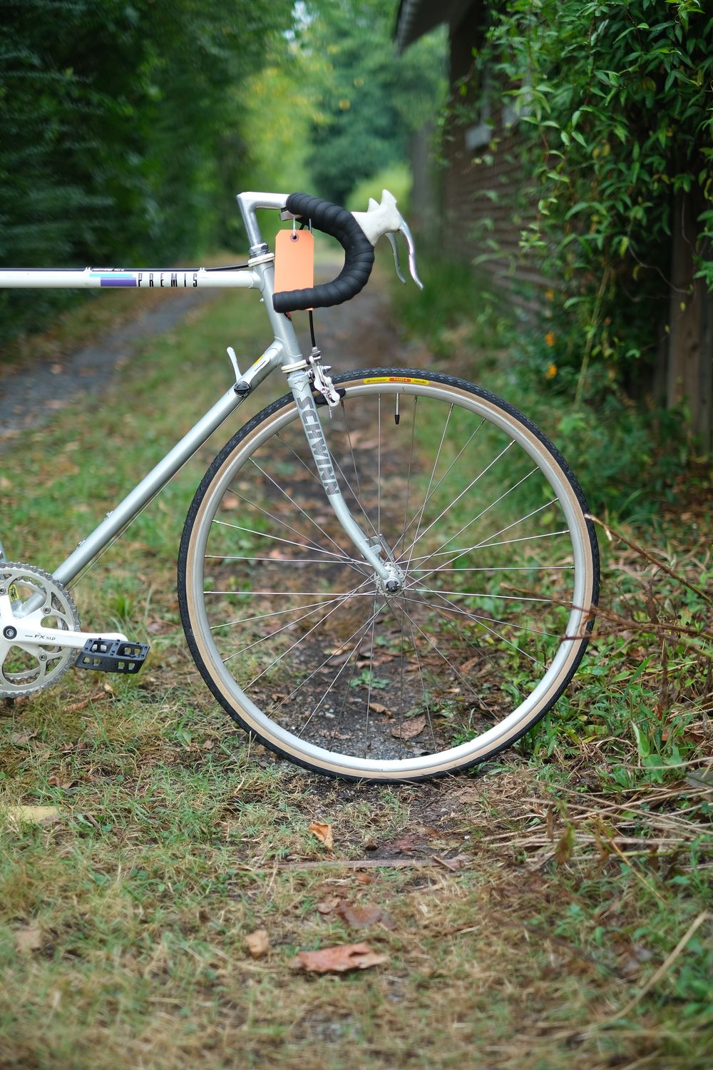 Schwinn Premis (large/white)