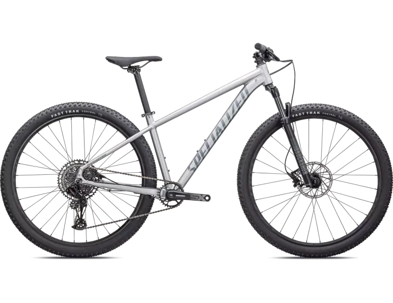 ROCKHOPPER EXPERT 29 - Silver Dust/Black Holographic SMALL