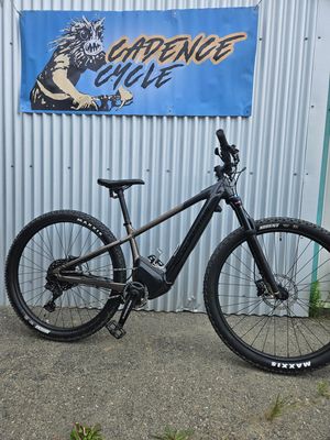 ELECTRIC HARDTAIL AND COMORT