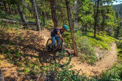 MTB