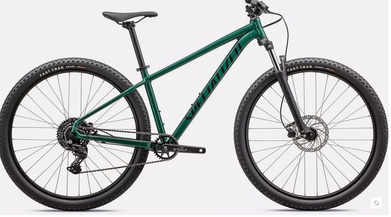 ROCKHOPPER SPORT PNGRN/OBSD XL - 29