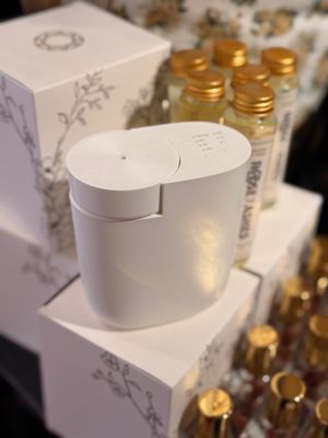 Home Diffuser Plug In