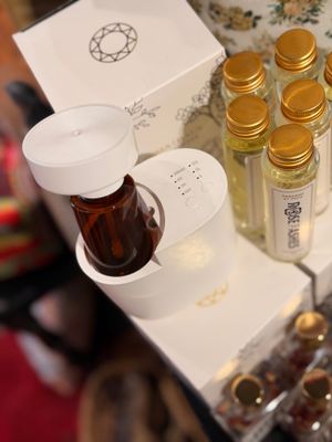 Home Diffuser Plug In