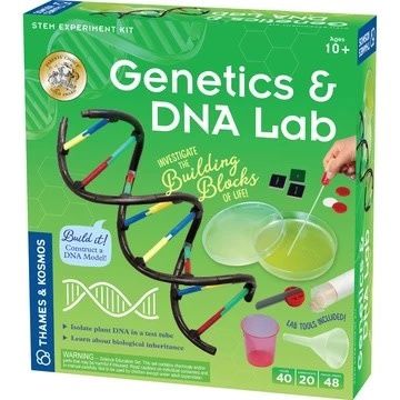 Genetics &amp; DNA Lab
