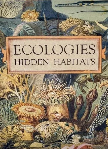 Ecologies: Hidden Habitats