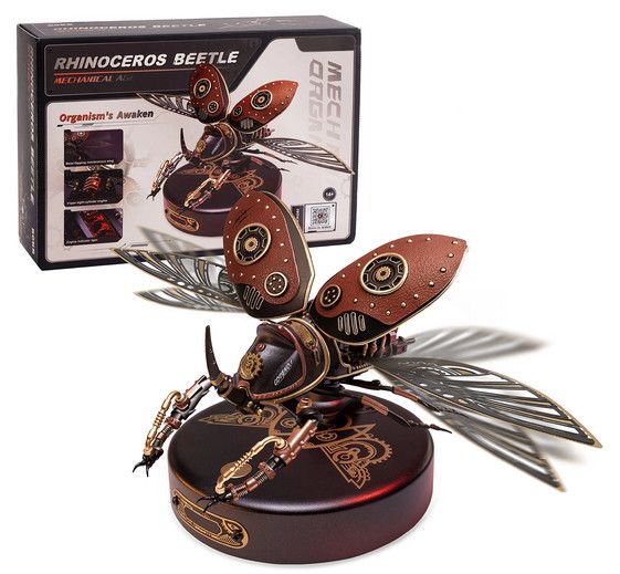 Rhinoceros Beetle