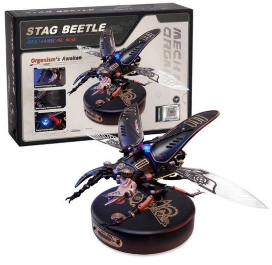 Stag Beetle