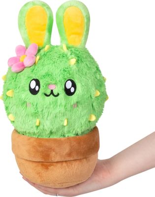 Mini Bunny Cactus