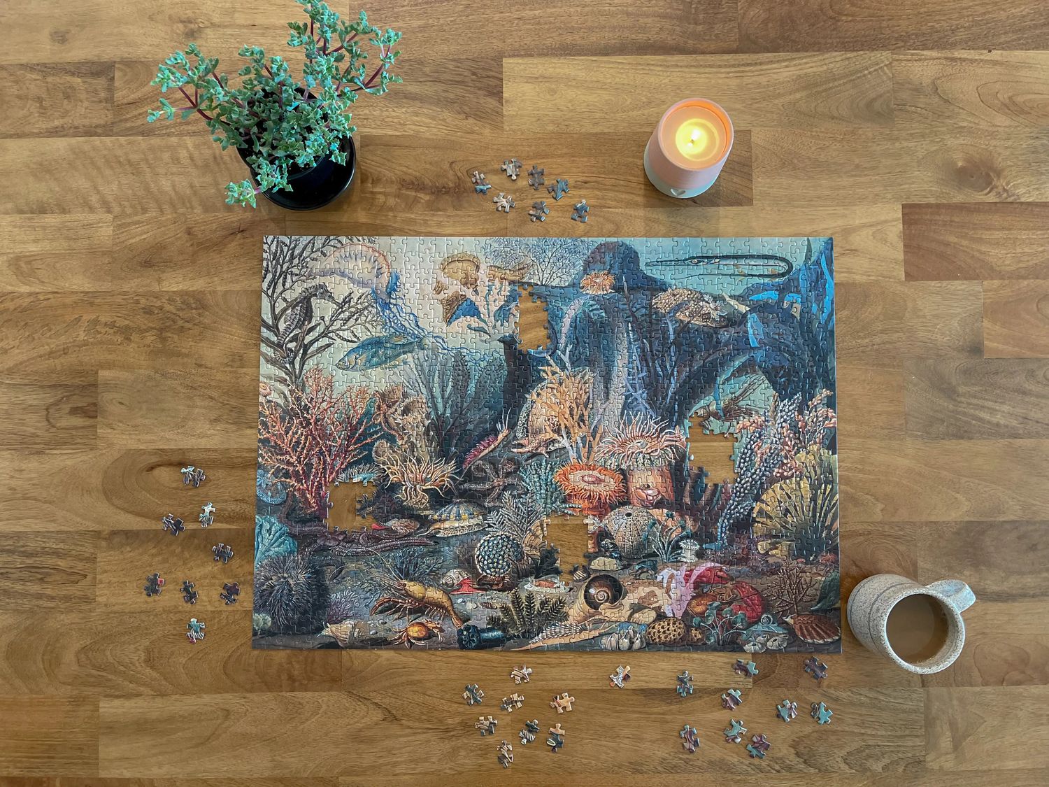 Ecologies Ocean Life Puzzle - Hidden Habitat 1000pc
