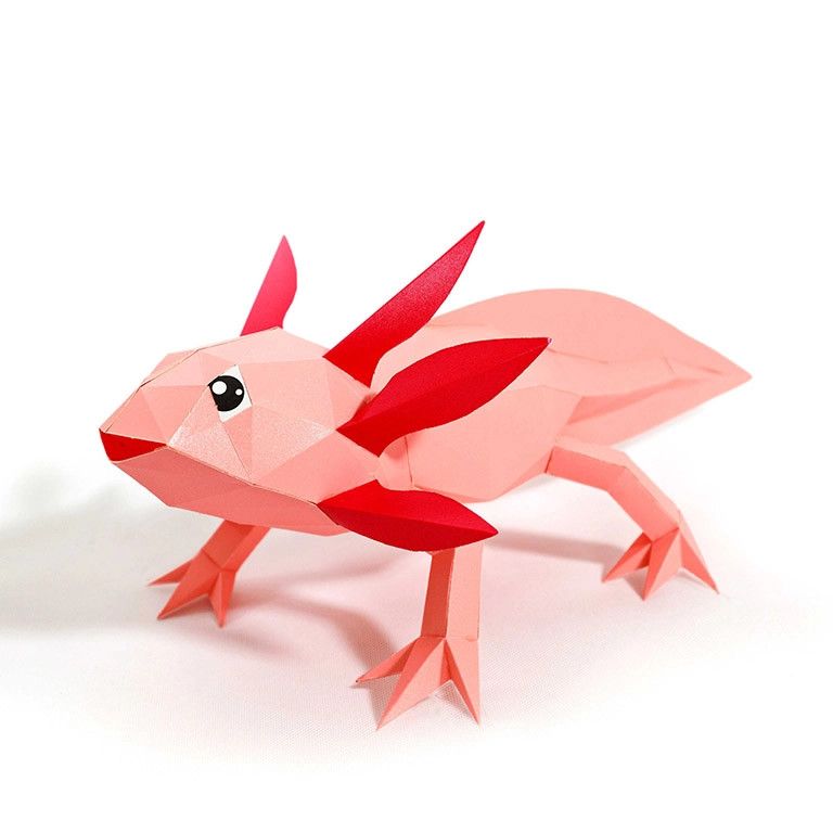 3D PaperCraft: Axolotl